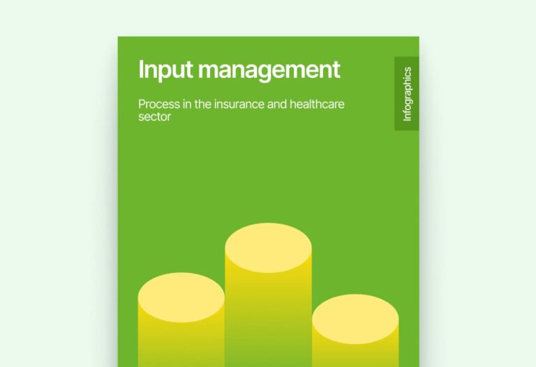 Input Management with high resolution documents